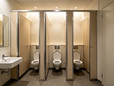 honeycomb core partition walls
